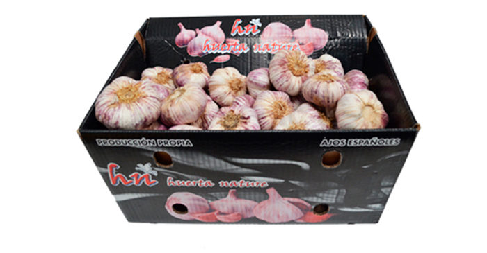 when do you plant garlic in spain