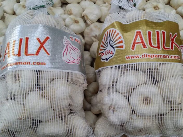 Precio del ajo - Dispaman