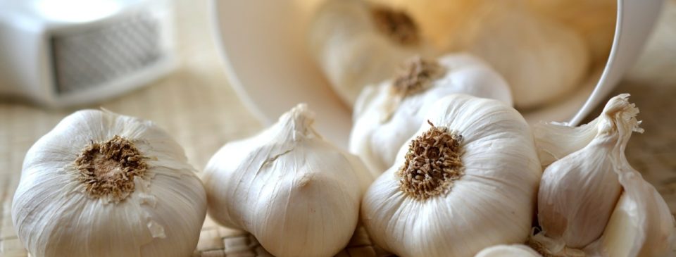 garlic-exporting-countries-dispaman